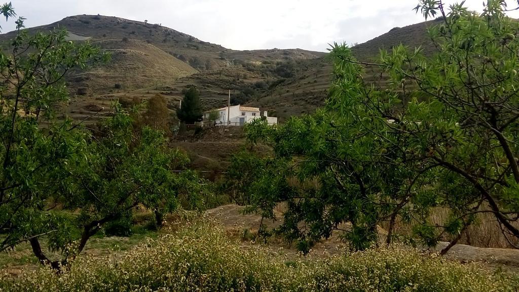 Pensjonat Cortijo Claudia Taberno Zewnętrze zdjęcie